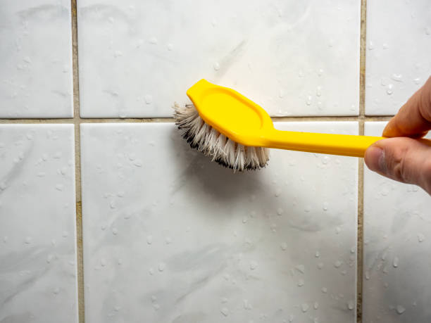 Best Local Mold Removal Service  in Tchula, MS
