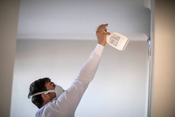 Best Attic Mold Removal  in Tchula, MS