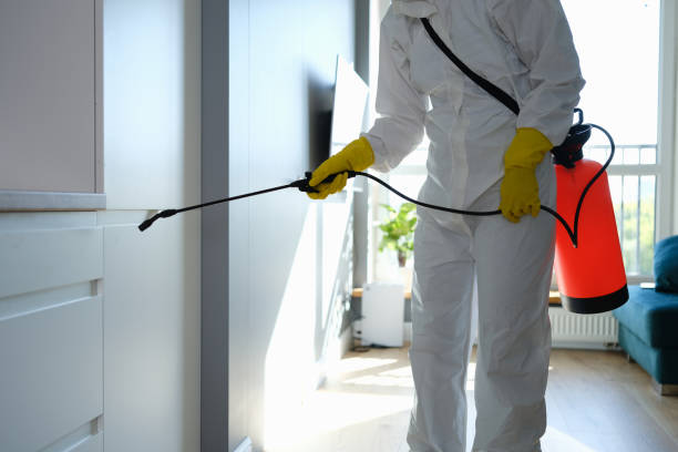 Best Crawl Space Mold Removal  in Tchula, MS