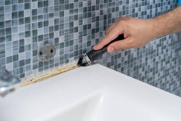 Best Mold Testing and Removal  in Tchula, MS